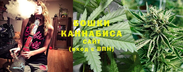 прущие грибы Нефтекумск
