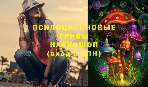 прущие грибы Нефтекумск
