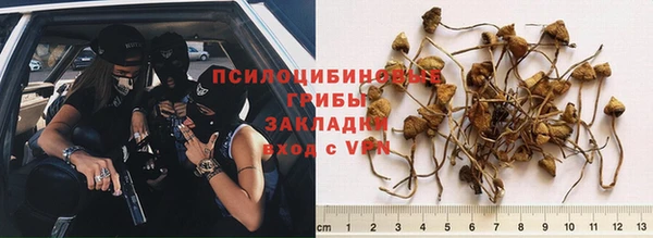 бутират Новодвинск