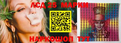 бошки Гатчина