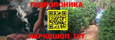 бошки Гатчина