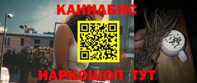 бошки Гатчина