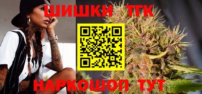 бошки Гатчина