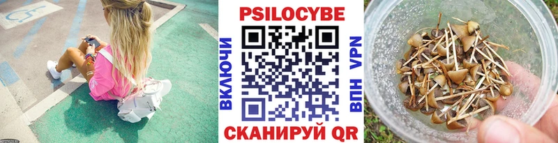 как найти kraken онион Галлюциногенные грибы Psilocybe Муравленко