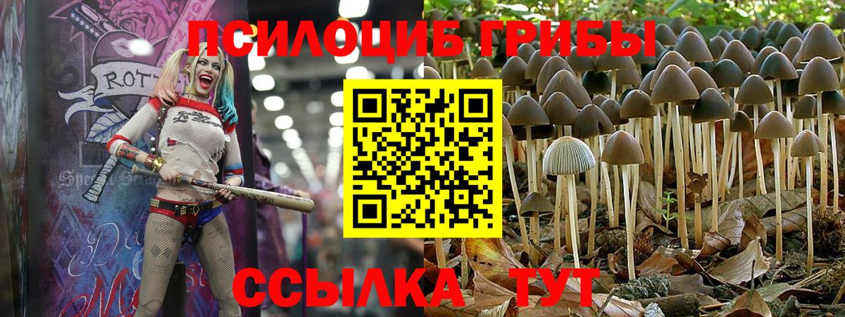 Псилоцибиновые грибы GOLDEN TEACHER Муравленко