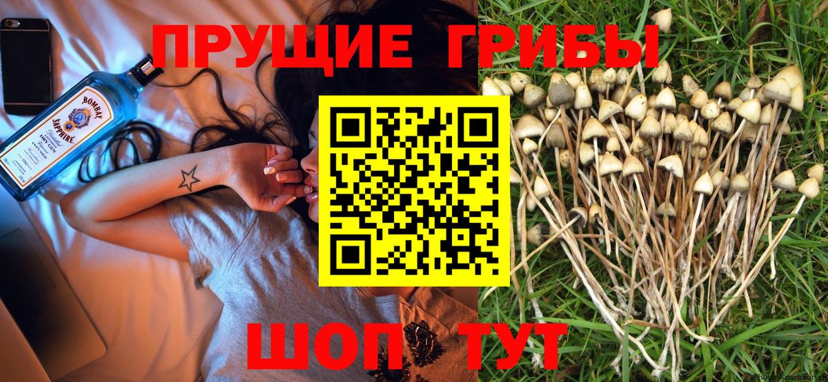 Галлюциногенные грибы GOLDEN TEACHER  что такое наркотик  Муравленко 